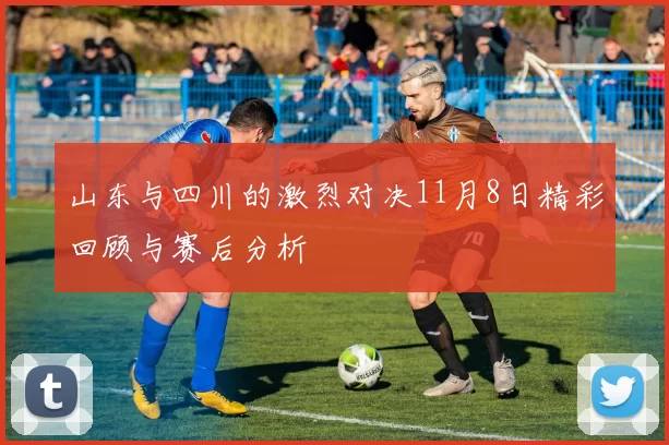 山东与四川的激烈对决11月8日精彩回顾与赛后分析