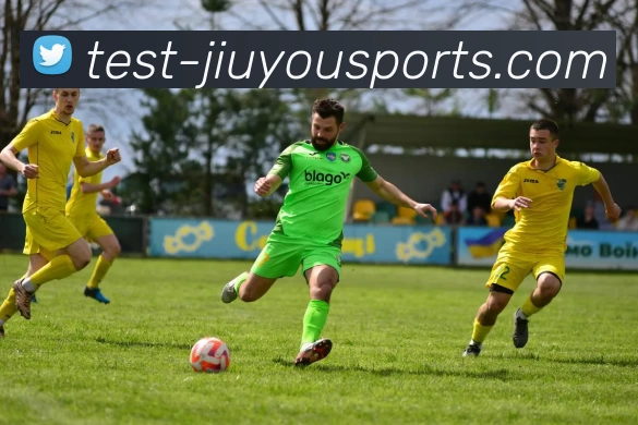 多媒体互动体验